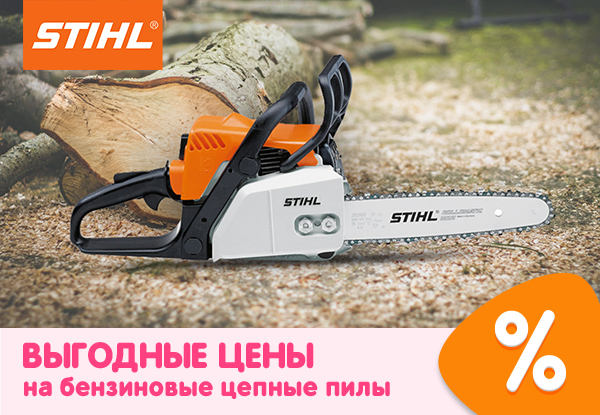 Выгодные цены на бензиновые цепные пилы Stihl! | Акции DNS | IW045367