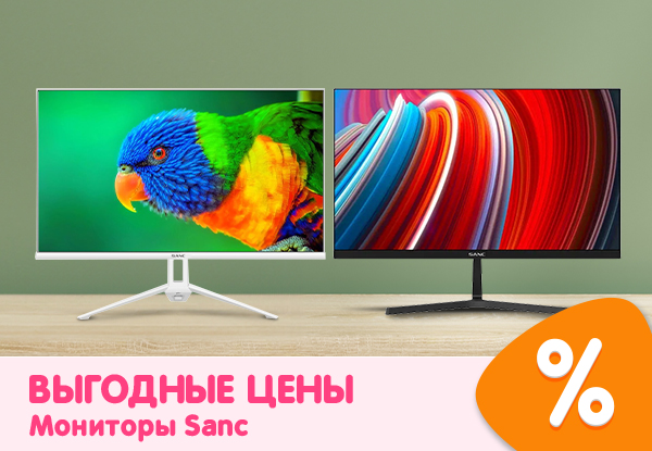 Выгодные цены на мониторы Sanc! | Акции DNS | IW057018