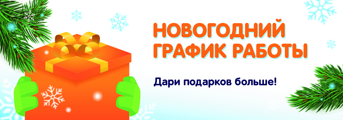 Новогодний график работы | Новости DNS | EY0004850